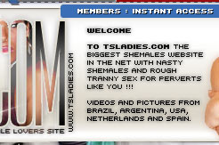 tsladies.com